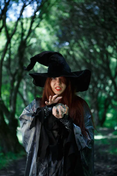 Cadı uzun siyah şapkalı görüntüsünü