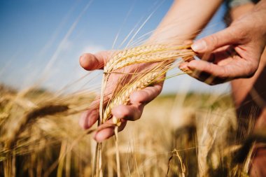 Rye elinde Vintage Fotoğraf