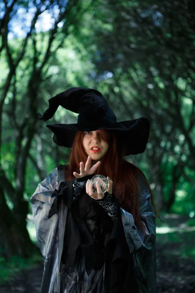 在长长的黑帽子的女巫的图片 — 图库照片