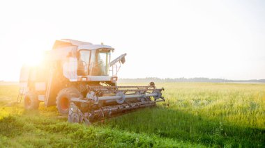 Hasat iş alanında birleştirmek