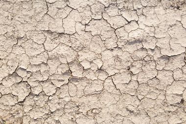 Photo of cracked dry earth