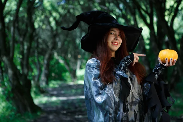 Cadı işaret parmağı kabak, görüntü