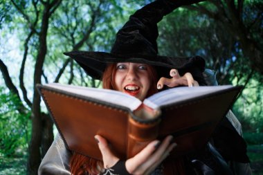 Image of sinister witch with book of spells clipart