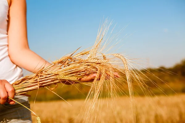 Image of girl in white T-shirt with spikelets Royalty Free Stock Images