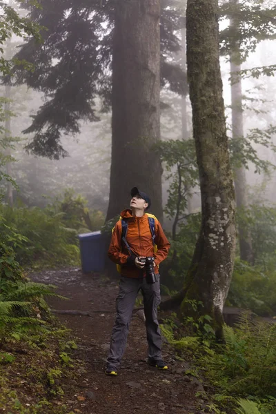 Foto de homem com câmera olhando para cima na floresta — Fotografia de Stock