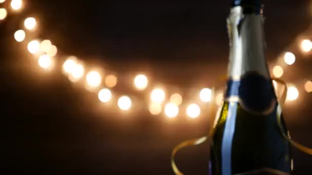 Новий рік тост для шампанського . — стокове відео