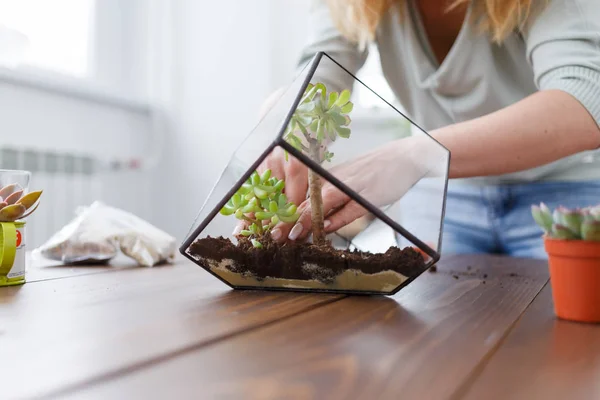 Foto de florista mujer mostrando clase magistral en la fabricación de florarium —  Fotos de Stock