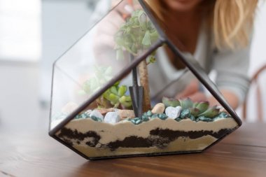Florarium yapmaya blogcular çiçekçi webinar fotoğrafı