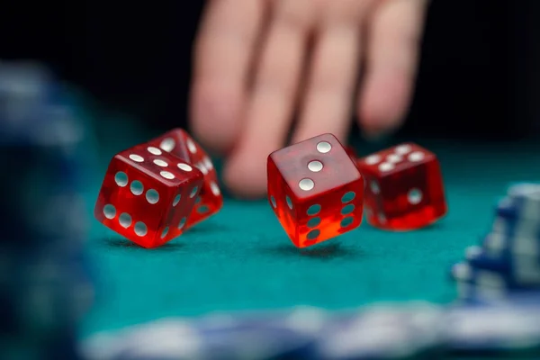 Picture of dice, chips, palm in casino on green table — Stock Photo, Image