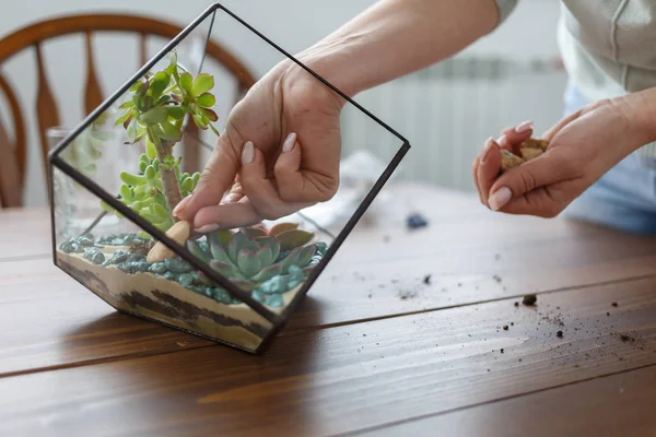 Bilden av florist visar mästarklass för att göra florarium med stenar och suckulenter — Stockfoto