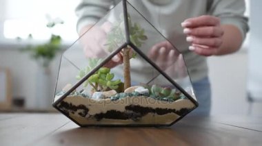 Kadın çiçekçi florarium yapar