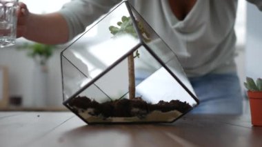Kadın çiçekçi florarium yapar