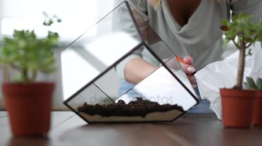 Kadın çiçekçi florarium yapar