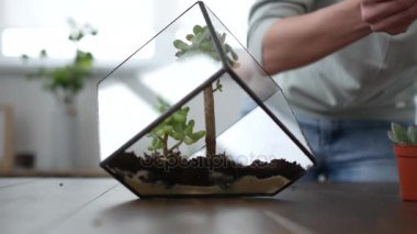 Kadın çiçekçi florarium yapar