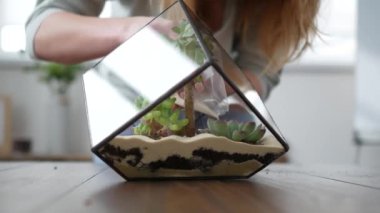 Kadın çiçekçi florarium yapar