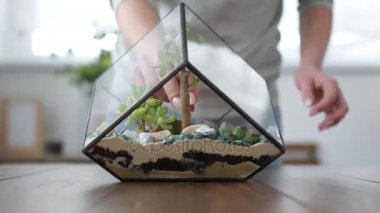 Kadın çiçekçi florarium yapar