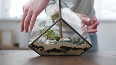 Kadın çiçekçi florarium yapar