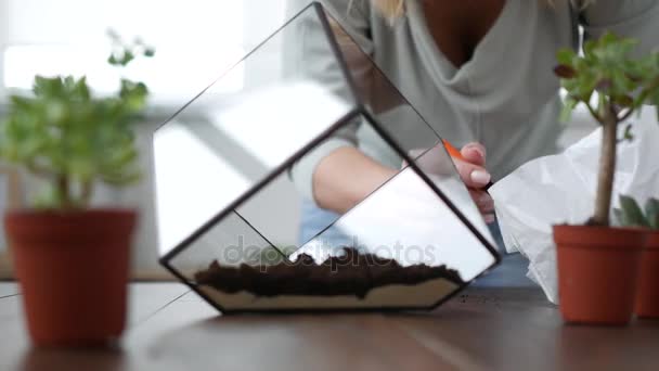 Fleuriste femme fait florarium — Video