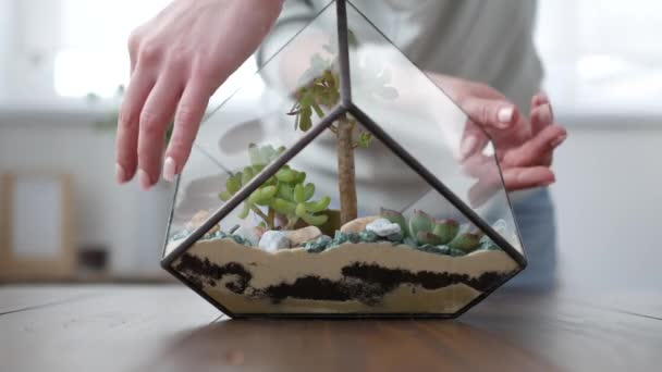 Fleuriste femme fait florarium — Video