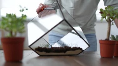 Kadın çiçekçi florarium yapar