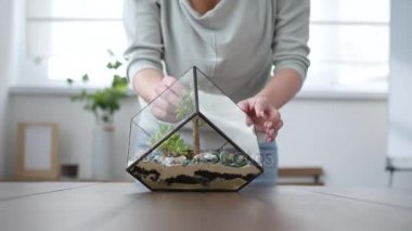 Kadın çiçekçi florarium yapar