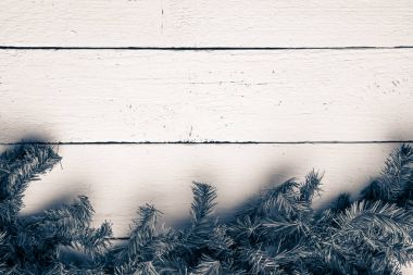 Noel ve yeni yıl arka plan ile alttan köknar ağacı