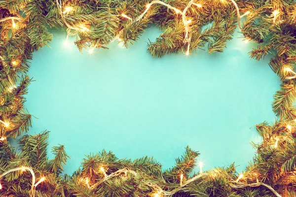 Fir branches on blue background — Stock Photo, Image