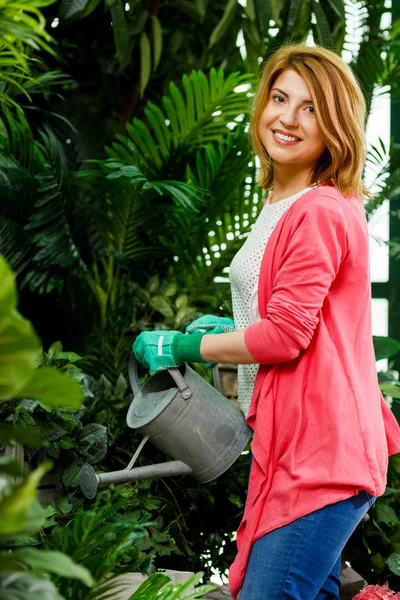 Bloemist drenken bloemen in de winkel — Stockfoto