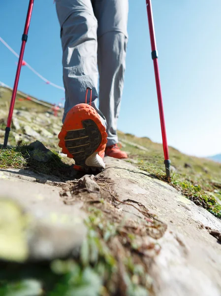 Picture of tourist human with sticks for sport walking — Stock Photo, Image