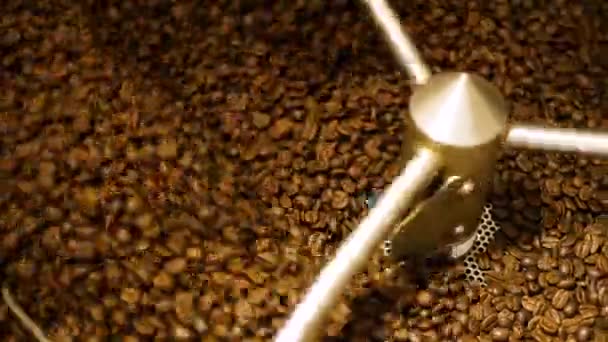 Mixing roasted coffee. — Stock Video