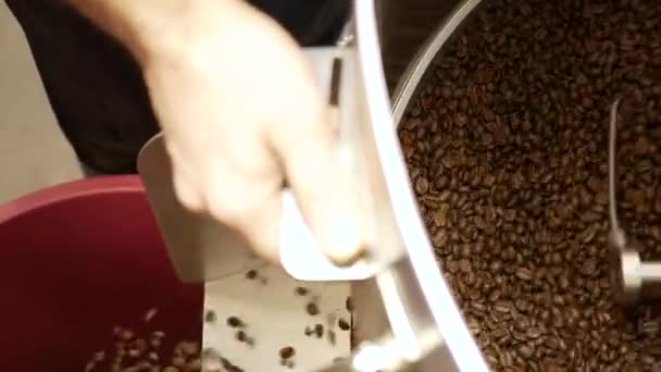 Chicchi di caffè tostati versando dalla macchina tostatrice — Video Stock