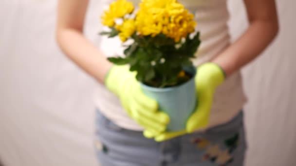 Mulher de pé contra fundo claro com flores planta nas mãos. Conceito de jardinagem, DOF superficial — Vídeo de Stock