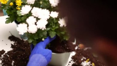 Genç kadın süreçte çiçekler.