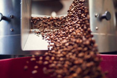 Picture of falling coffee beans from roaster clipart