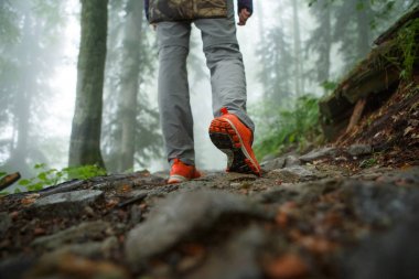 İnsan günlükleri merdiveninde yürüme resim