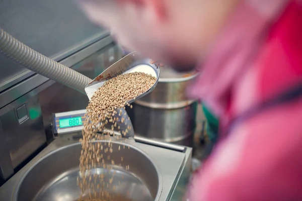 Foto do homem com colher com grãos de café, escalas industriais — Fotografia de Stock