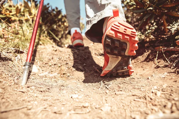 Immagine di turista umano con bastoni per passeggiate sportive — Foto Stock