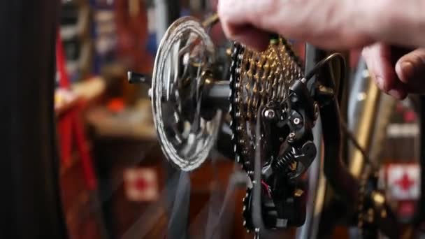 Μηχανικός επισκευή ποδηλάτων στο εργαστήριο. — Αρχείο Βίντεο