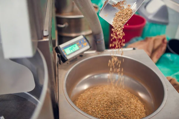 Image de scoop avec grains de café frais, échelles industrielles . — Photo