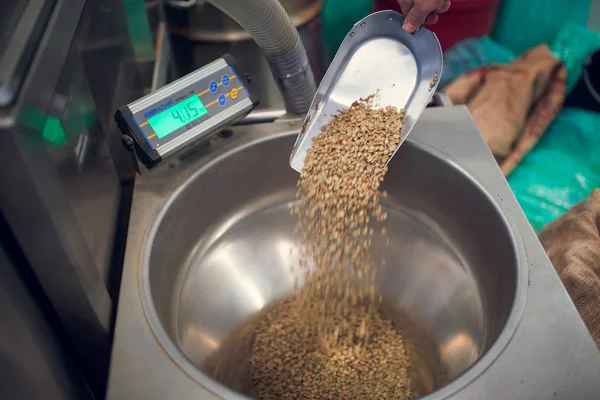 Foto de cucharada con granos de café no tostados, escamas industriales —  Fotos de Stock