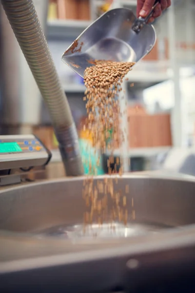 Foto de colher com grãos de café não torrados, balanças industriais — Fotografia de Stock