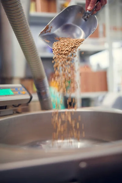 Foto einer Schaufel mit nicht gerösteten Kaffeebohnen, industriellen Waagen — Stockfoto