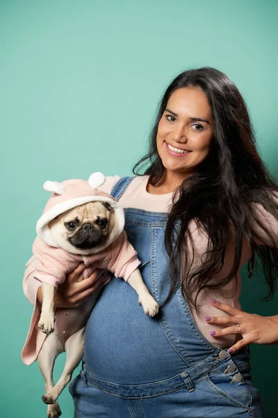 Pregnant brunette with pug in her hands on empty blue background — Stock Photo, Image