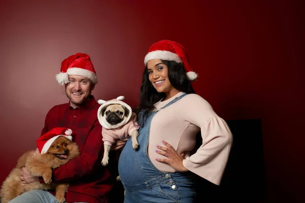 Lächelnder Mann und Frau in Weihnachtsmännern mit Mops und Spitz — Stockfoto