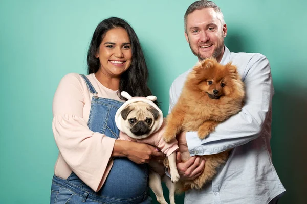 Menina grávida e homem segurar cães a mãos no fundo verde — Fotografia de Stock