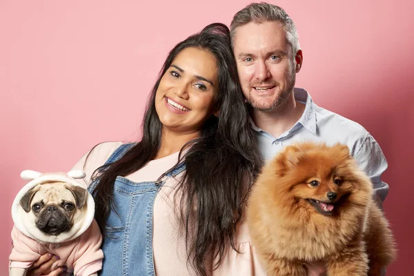 Morena sorridente e homem segurar cães a mãos no fundo rosa — Fotografia de Stock