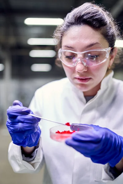 Young laboratory woman in glasses and petri dish in her hands is conducting experiments on defocused background — Stock Photo, Image