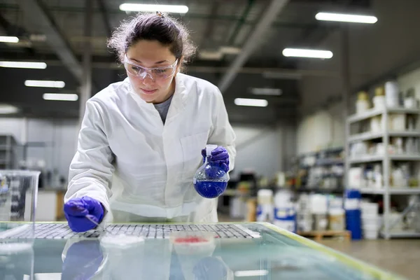 Laboratoriekvinna med kolv med blå vätska i händerna kontrollerar kvaliteten — Stockfoto