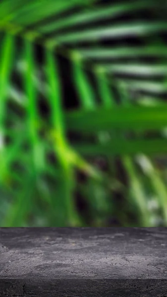 Superficie di pietra nera su sfondo di foglie verdi di palme. Contesto sfocato . — Foto Stock