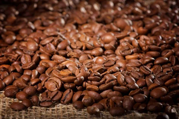 Жареный кофе в зернах Стоковое Фото